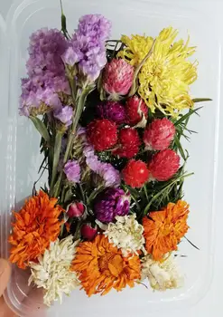 1 Dėžutė 30g Džiovintų Gėlių Nekilnojamojo Sausų Augalų Paspaudus Gėlių Kvapų Žvakė Priėmimo Amatų PASIDARYK pats Priedai