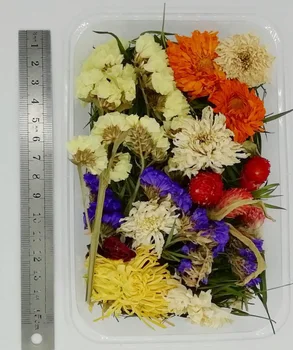 1 Dėžutė 30g Džiovintų Gėlių Nekilnojamojo Sausų Augalų Paspaudus Gėlių Kvapų Žvakė Priėmimo Amatų PASIDARYK pats Priedai