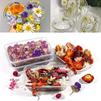 1 Dėžutė Džiovintų Gėlių, Augalų Epoksidinės Dervos Formų Gėlės Silikono UV Epoksidinės Dervos Sluoksnį Nail Art 