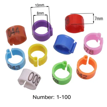 100 vnt balandžių logotipas Koja Žiedas 1-100 Skaičių Dešimt Spalvų Paukščių Kojos Žiedo išorinis Skersmuo 10mm / vidinis Skersmuo 8mm Paukščių Accessories