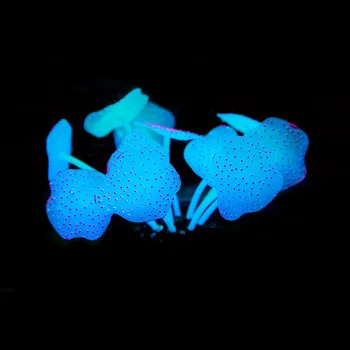 11 Lapų Silikono Dirbtinio Žuvų Bakas Akvariumas Koralų Augalų Ornamentais Augintiniai Povandeninis Dekoro Didmeninės