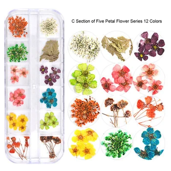 12pcs/box Džiovintų Gėlių Nail Art Apdailos 3D Sausų Natūralių Gėlių Lipdukai UV Gelio Manikiūro Nagų Grožio Lipdukai