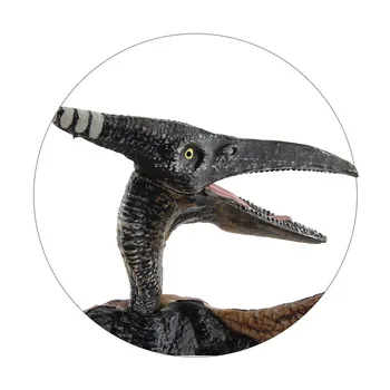 23cm Veiksmo ir Žaislas Duomenys Juros periodo modeliavimas Pterodactyl Dinozaurų Žaislai, Plastikinės Lėlės Ranka Lėlių Vaikų Švietimo Modelis