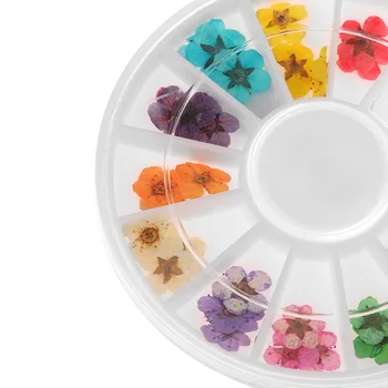24pcs/box 3D Nagų Dailė Apdailos Natūralių Džiovintų Gėlių Gėlių Nails UV Gelio Akrilo Nagų Dekoravimo Priemonė
