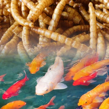 30g Vėžlys Maisto Pašarų Lazdos Betta Žuvų Finansuojančiojo Granulės, Džiovinti Žuvų, Krevečių Duona Kirminų ir Roplių Akvariumas Terrapin Vėžlio Maisto