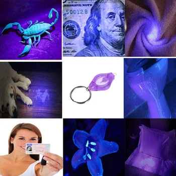 395nm Violetinė UV LED Mini Pultelio šviesos diodų (LED Žibintuvėlį, Fakelą Juodos šviesos Lempos Id Valiuta Pasus Katė Šuns, augintinio šlapimo Detektorius