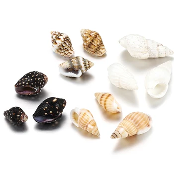 50g/daug Natūralių Mažų Myli Formos Seashell Mišrios Spalvos Kriauklių 