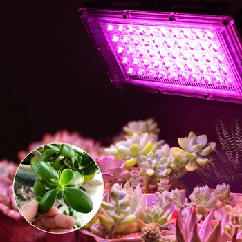 50W 100W LED Grow Light 220V Visą Spektrą Phytolamp LED Augalų Auga Lempa LED Lauko Prožektorius Augti Lauke Gėlių Sėja