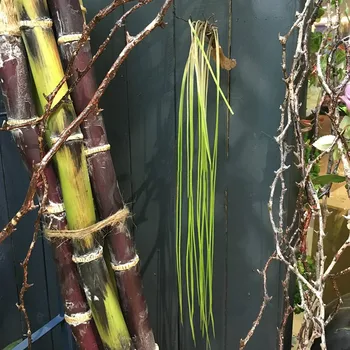55cm Dirbtinis Kabinti žolės palikti modeliavimas augalų lapų apdaila plastikinių gėlių žalia siena priedai dekoratyvinės vejos