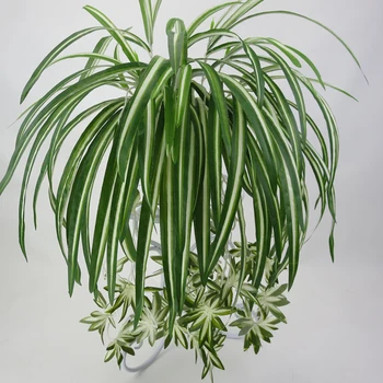 65cm 5 Vadovai Dirbtiniai Augalai Sienos Kabo Chlorophytum Žalieji Augalai PVC Netikrą Gėlių Modeliavimas Palieka Namus Sodo Dekoro