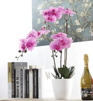 7 Vadovai Phalaenopsis Orchidėja Gėlė Dirbtinių Gėlių, Vestuvių Papuošimas, Gėlių Kalėdų Vakarėlį Namų Dekoro