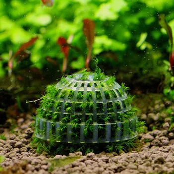 Akvariumo Dekoras Plūduriuojantis Moss Ball Gyvų Augalų, Žuvų Bakas Žiniasklaidos Moss Ball Samanų Ir Medžio Filtras Žuvų Bakas Vandens Augintiniai Prekes
