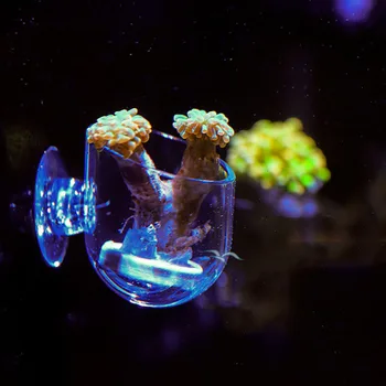 Akvariumo puošmena Kabo žuvų bakas Mini Krištolo Puodą Polka Vandens sodinti vazoninių cilindrų taurės akvariumo reikmenys