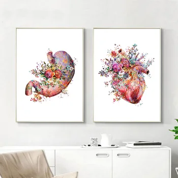 Anatomija Meno Medicinos Drobės Tapybos Gėlių Organų, Širdies, Plaučių Plakato Spauda Studentų Švietimo Ligoninės Nuotrauką Moderni Apdaila