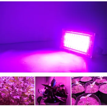 Augalų Augimo Žiedų LED Potvynių Šviesos 50W AC 220V LED Augalų led lempa Augalų Dėmesio Šiltnamio efektą sukeliančių Augalų Hydroponics Augimo Šviesos