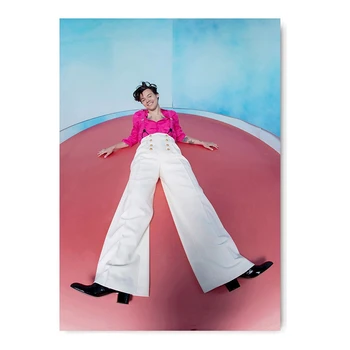 Britų Dainininkas Harry Stiliaus Portretas, Paveikslai, Plakatai Sienos Meno Spaudinius Balta Padengtas Nuotrauką Modernių Namų Kambario Apdaila