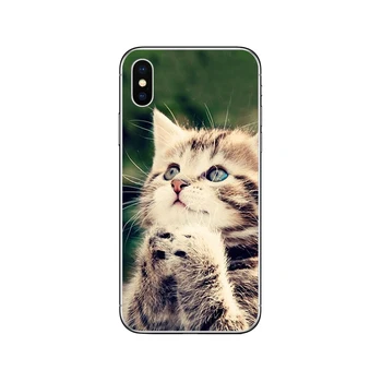 Ciciber Cute Cat Kitten Telefono 