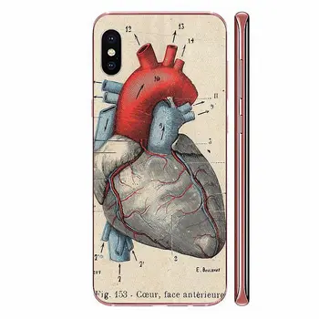 Derliaus Medicinos Anatomijos Širdies Diagrama Dėl Pardavimo Apple iPhone 4 4S 5 5C 5S SE SE2 6 6S 7 8 11 Plus Pro X XS Max XR
