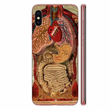 Derliaus Medicinos Anatomijos Širdies Diagrama Dėl Pardavimo Apple iPhone 4 4S 5 5C 5S SE SE2 6 6S 7 8 11 Plus Pro X XS Max XR