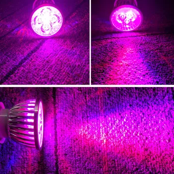 Didelės Galios LED Grow Light E27 Visą Spektrą Fitolampy viduje Auga lempa Augalų, Gėlių Sėklos Auga Palapinę Lauke Pakeisti Saulės