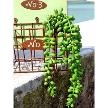 Dirbtinis Succulents Perlai Mėsingos Žaliųjų Vynuogių Žiedai Kabo Rotango Sienos Sodo Puošmena Gėlių Mylėtojas Ašaros Sultingi Augalai