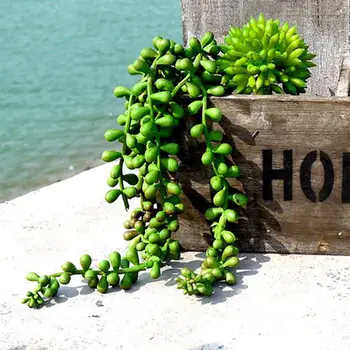 Dirbtinis Succulents Perlai Mėsingos Žaliųjų Vynuogių Žiedai Kabo Rotango Sienos Sodo Puošmena Gėlių Mylėtojas Ašaros Sultingi Augalai