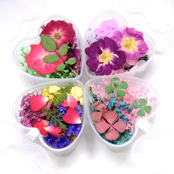 Džiovintos Gėlės 24 Spalvų Gėlių Nagų Papuošimai Natūralių Gėlių Lipdukas 3D Sausas Grožio Nagų Dailės Lipdukai UV Gel Polish