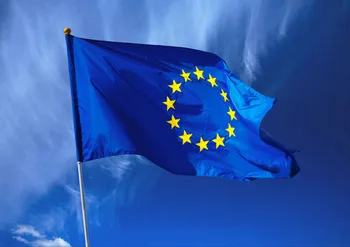 Europos Sąjungos vėliava Namų puošybai Patalpų Euro šaligatvio Aukštos Kokybės Lauko ES institucijų poliesteris Festivalis pennats