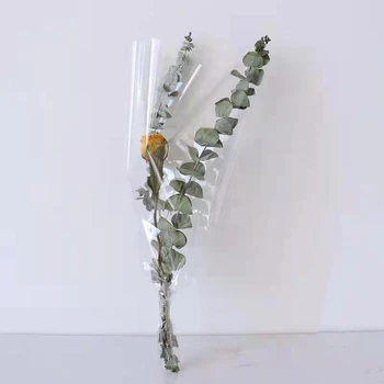 Forget-me-not, džiovintų gėlių, gėlių kompozicijų su ranka fejerverkai foto rekvizitai 