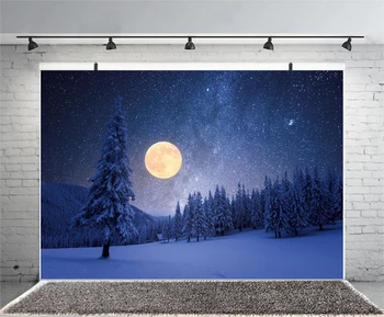 Foto Fonas Tamsiai Mėlynas Dangus, Mėnulis Blizgučiai Star Medžio Miške Žiemos Sniego Nakties Peizažo Fotografijos Foną, Photocall Foto Studija