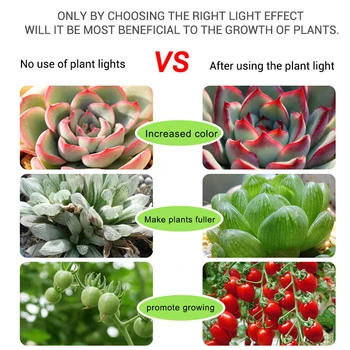 FOXGBF LED Pilno spektro šviesa diržo skatinti augalų augimą, saulės spindulių poveikio, patalpų sodinimo sultingi ir lapuočių sodinimo plokštė