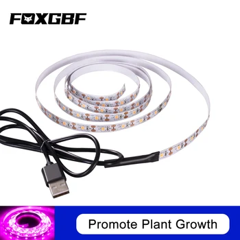 FOXGBF LED Pilno spektro šviesa diržo skatinti augalų augimą, saulės spindulių poveikio, patalpų sodinimo sultingi ir lapuočių sodinimo plokštė
