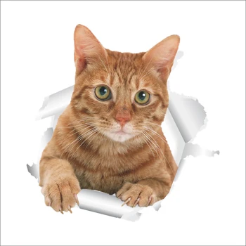 Funny Cat Sienų Lipdukai Tualetas, Vonios Apdailos Animacinių filmų Kačiukas Gyvūnų Freskos Meno 