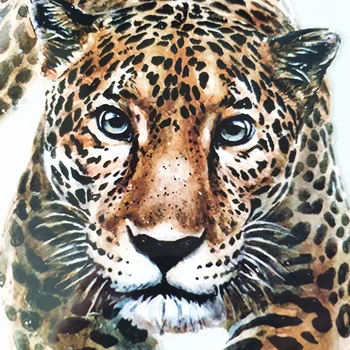 Gyvūnų Gatvės Piktogramą Moterims, Vyrams, Drabužiai 249mm Leopard Geležies Perdavimo Spausdinimo Lopai Drabužius T-Shirt Pleistras 