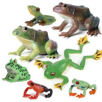 Imitavimo Veiksmų Mini Varlė Bullfrog medvarlės Bullfrog Surinkimo Gyvūnų figūros Modelio Pažinimo Švietimo žaislų, vaikiškų