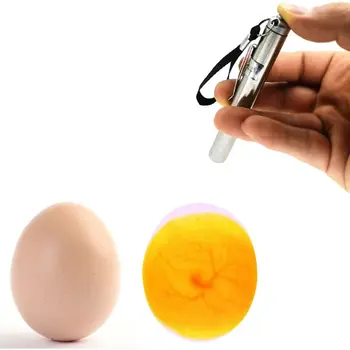 Inkubatorius Eggtester Kiaušinių kiaušinių tikrinimo šviesoje Lempa LED Super Šalta, Inkubavimo Įranga, Paukštienos, Vištienos, Įrankiai, Ūkio Gyvūnų Prekių C42
