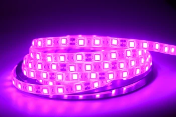Lanksti SMD 5050 LED šviesos Juostelės 12V LED Juostos Namų Puošybai Apšvietimas Balta/Šiltai Balta/Mėlyna/Žalia/Raudona/Geltona/Rožinė/Ice Blue/RGB