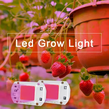 LED, COB (Chip Už Augti augalams Šviesos Pilno Spektro AC 110V, 220V 50W 30W 20W Kambarinių Augalų Daigų Augti Gėlių Augimo Apšvietimas