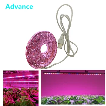 LED Grow Light Visą Spektrą USB Augti Šviesos Ruože 0,5 m 1m 2m 2835 Chip LED Fito Lempos Augalai, Gėlės Šiltnamio efektą sukeliančių Hydroponic