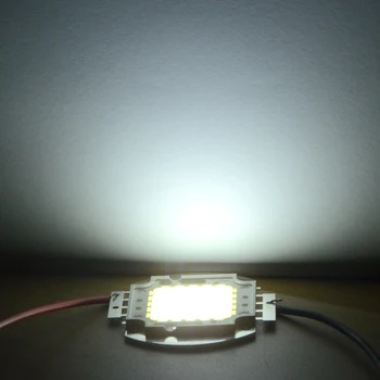 LED Lustai 10W 20W 30W 50W 100W Didelės Galios COB LED lempos Chip Lemputės su LED Driver 