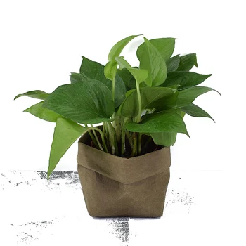 Mini Succulents Sodinamoji Puodą Galima Skalbti Kraftpopieris Vazonas Kūrybos Darbalaukio Gėlių Vazonus Reuseable Daugiafunkcį Namuose Saugojimo Krepšys