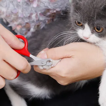 Naminių kačių nagų žirklės spalvinga nešiojamų profesinės kačių nagų žirklės nagų cutter katė grožio žirklės