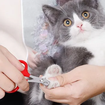 Naminių kačių nagų žirklės spalvinga nešiojamų profesinės kačių nagų žirklės nagų cutter katė grožio žirklės