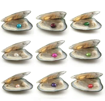 Natūralių Perlų Gėlo vandens Dirbtiniu būdu išaugintų Perlų Austrių su 7-8 mm Ovalo formos 14 Spalvos Perlas 