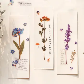 NAUJAS 6 Dizaino Natūralus Rožių Sakura Japonijos Žodžiai Lipdukai Skaidrus PET, Medžiagos, Gėlės, Lapai, Augalai Deco Lipdukai Vaikams Dovanų
