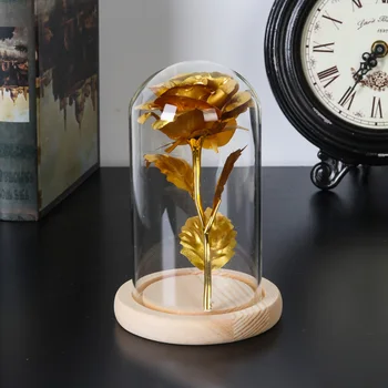 Naujas Terariumai, Pratybos Stiklo Cloche Dulkių Dangtelį Gėlių Laikymo Dėžutė Mediniais Skaidrus Butelis Stiklo Vaza Namų Dekoro Prekių
