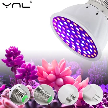 Phytolampa Augalams LED Grow Light 220V E27 E14 GU10 MR16 Kambarinių Augalų Lauke Palapinę įvairiausio Spektro LED Lempos, Gėlių Sėklos