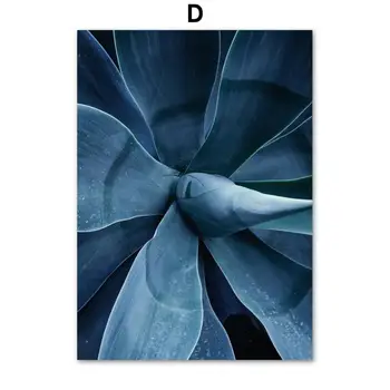 Pilka-Mėlyna Augalų Išdidintos Fotografijos Sienų Tapybos Kiaulpienių Succulents Dar Gyvenime Drobės Frameless Spausdinimo Dekoratyvinis Plakatas