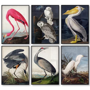 Senovinių Paukščių Drobė Spausdinti Audubon Paukščių Plakatų Pink Flamingo Snieguotas Pelėda Pelican 