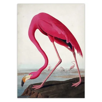 Senovinių Paukščių Drobė Spausdinti Audubon Paukščių Plakatų Pink Flamingo Snieguotas Pelėda Pelican 